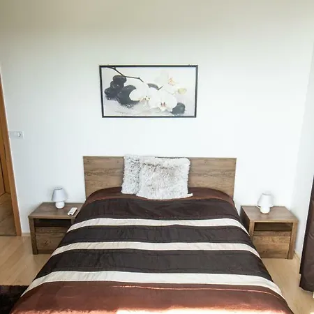 Myflat Club 218 Palazzo Wellness Apartment Siofok